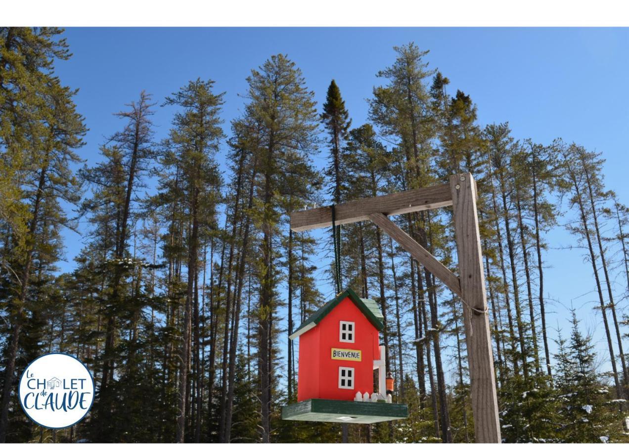 Le Chalet De Claude, Au Pied Des Monts-Valin Saint-David-de-Falardeau Exterior foto